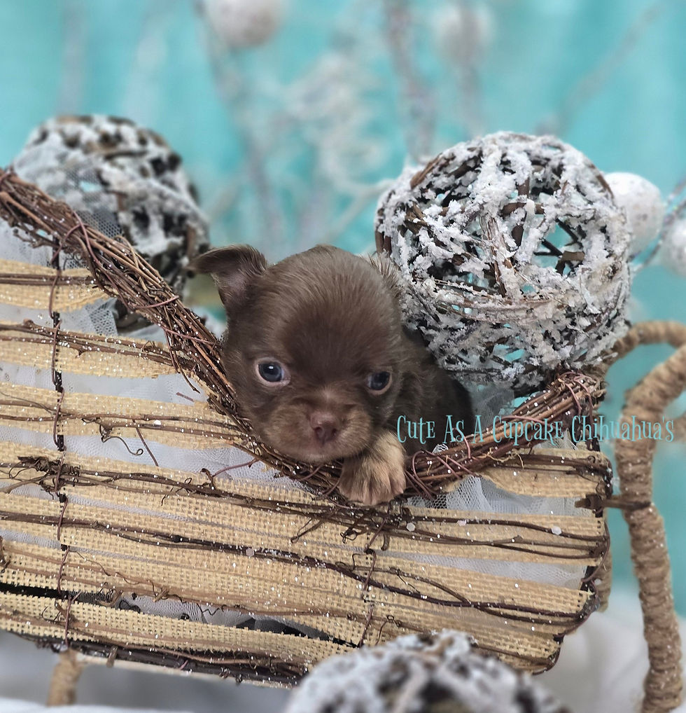 20251227_161034(0)~2