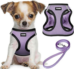 xsmall harness.jpg