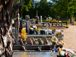 Le jardin des absents