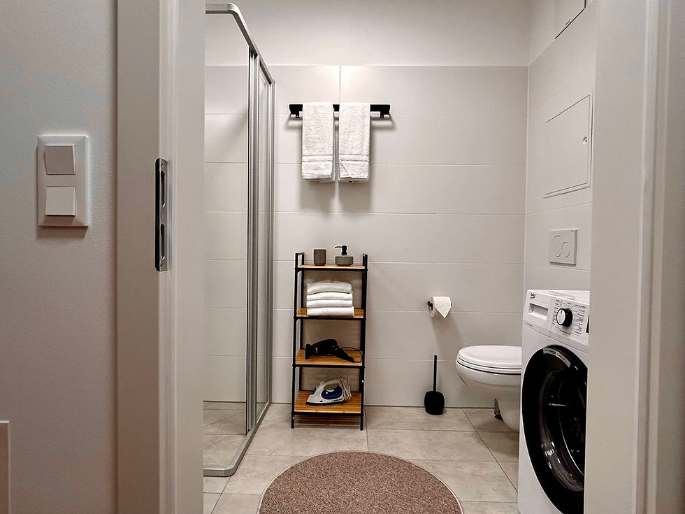 sHome Apartments Badezimmer