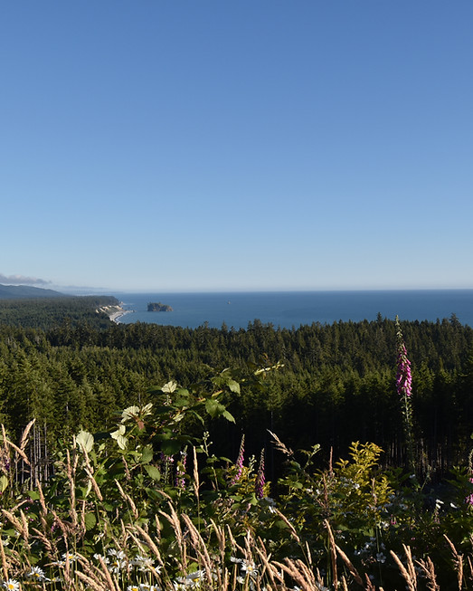 DSC_7213.JPG