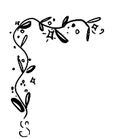 Adsız_Resim (9).png