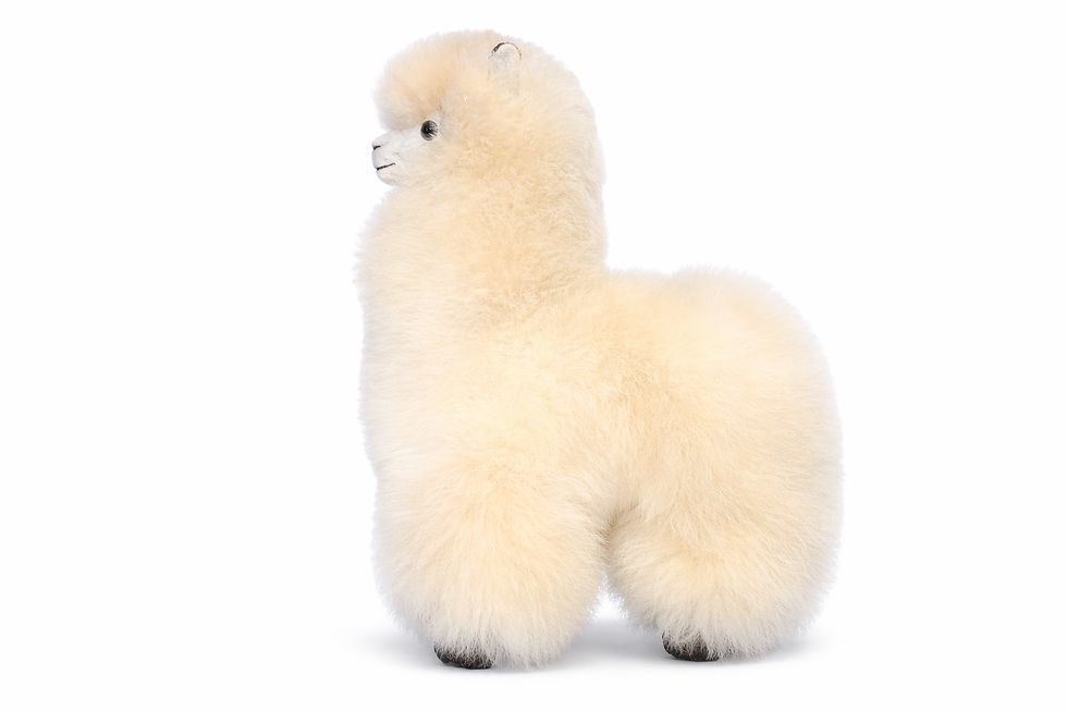 Thumbnail: Alpaca PLush 100% Natural Hair( 32cms) Beige natural coulour