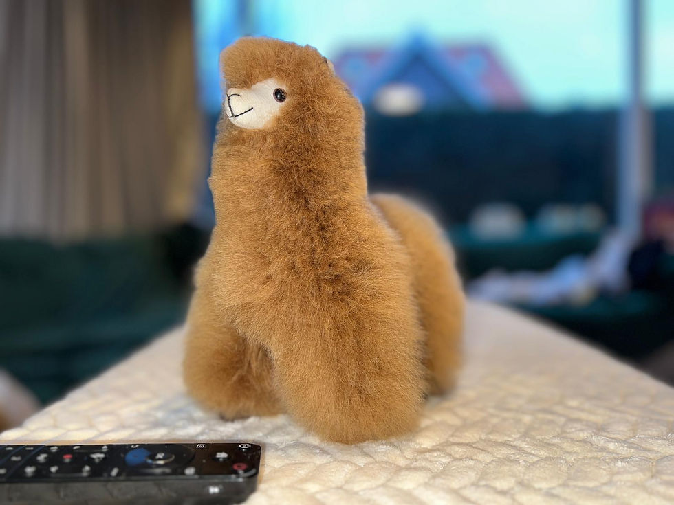 Thumbnail: Alpaca plush 100% Natural Hair (23cm) in CAMEL