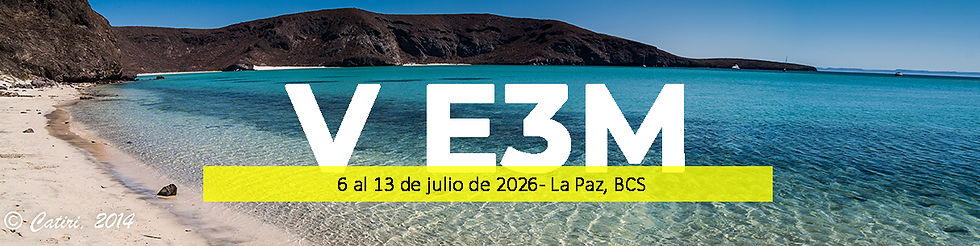 BannerVE3M.jpg.jpeg