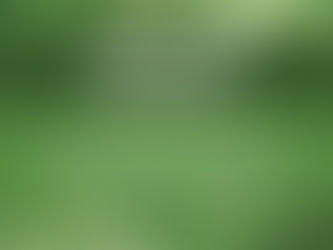 Tree Maintenance is Ongoing in the Borough!