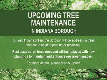 Tree Maintenance is Ongoing in the Borough!