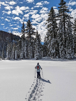 Half-day Snowshoeing Adventure in Lake Tahoe