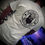 Thumbnail: KCBC Graphic T - “Nothing Makes Her Purr, Like a Face Full of Furr”