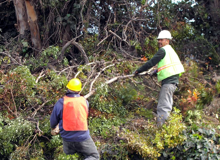 HWY 101 Clean Up