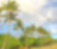 734526AA-8010-4E29-B230-79910D84CEA8.jpeg