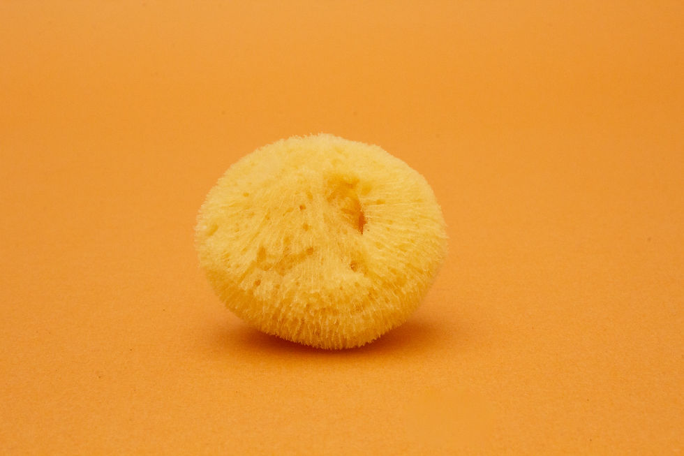 Thumbnail: Fine Sea Sponges for Watercolour