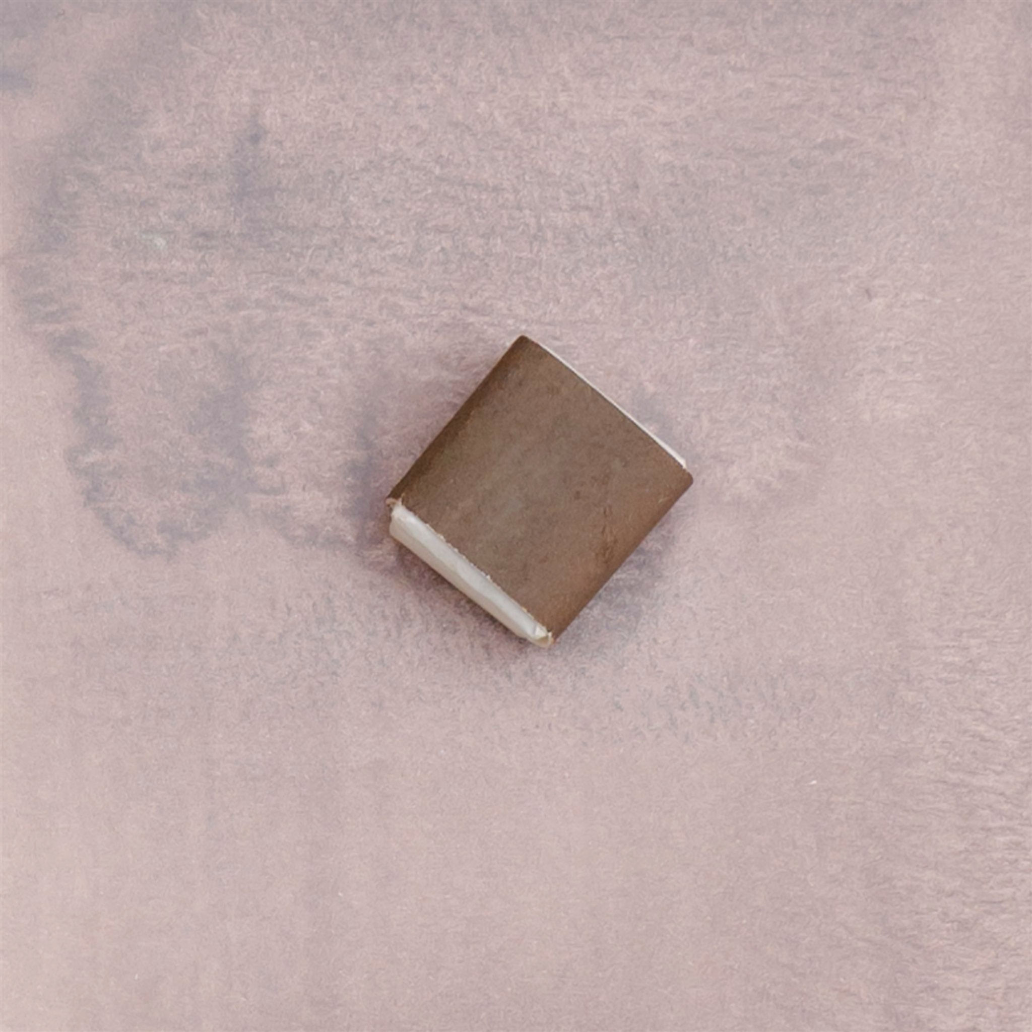 African Harrier-Hawk Grey