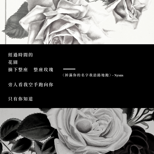 掉滿你的名字我沿路地襖.png