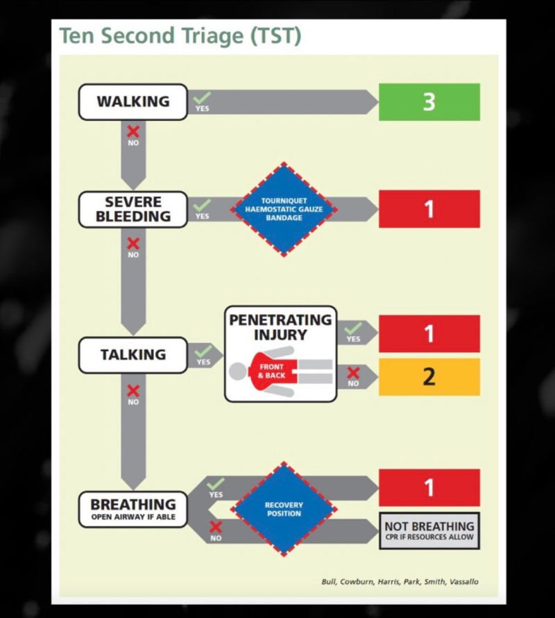 The 10 Second Triage Tool