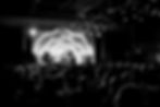 STORRY_Banner Option 1 (B&W).jpg