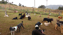 IMG_20170608_100235632