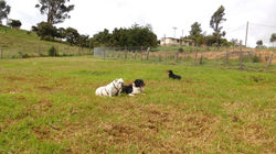 IMG_20170612_094916174