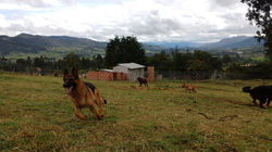 IMG_20170605_093421998