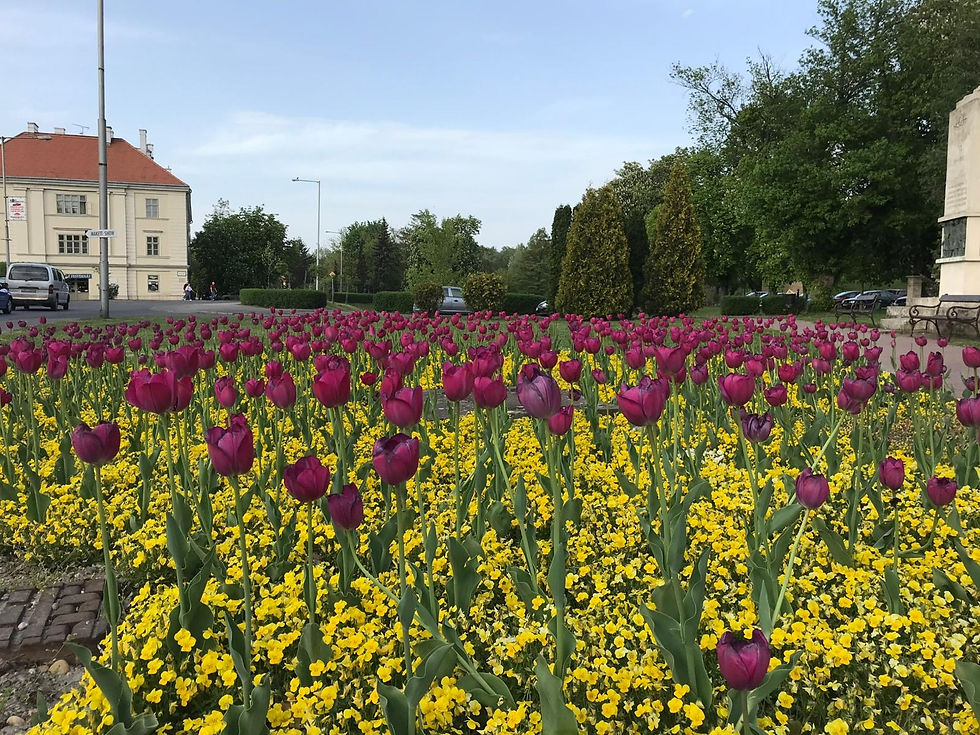 Od 8.8.2026 do 15.8.2026 včetně.