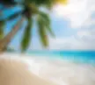 panorama-tropical-beach-coconut-palm-600nw-2589694827.jpg.webp