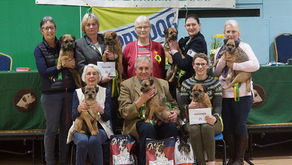 Members Limited Show 2019