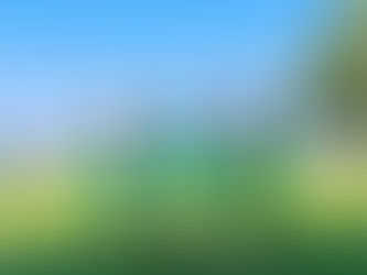 Stop Eating Raw Meat: Why Digital Fluency for Students Starts With Teachers