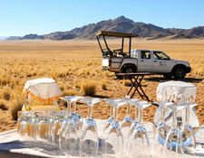 Safari on a luxury trip from TMC in Vienna