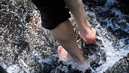 Gesundheitstage TMC-1.jpg