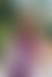 Simona Lazinsk: Crossing a Bridge of Hope & Courage