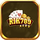 Rik789city avt.png