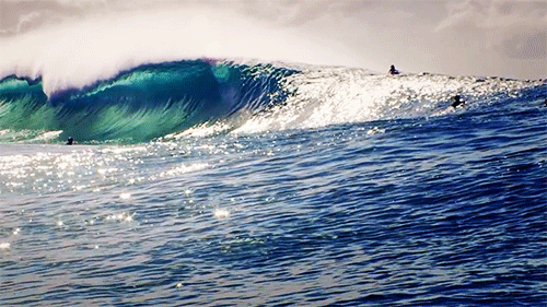 surf.gif