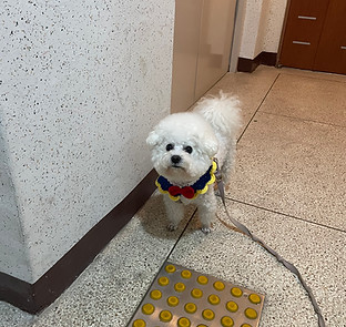 KakaoTalk_20250915_171540441.jpg