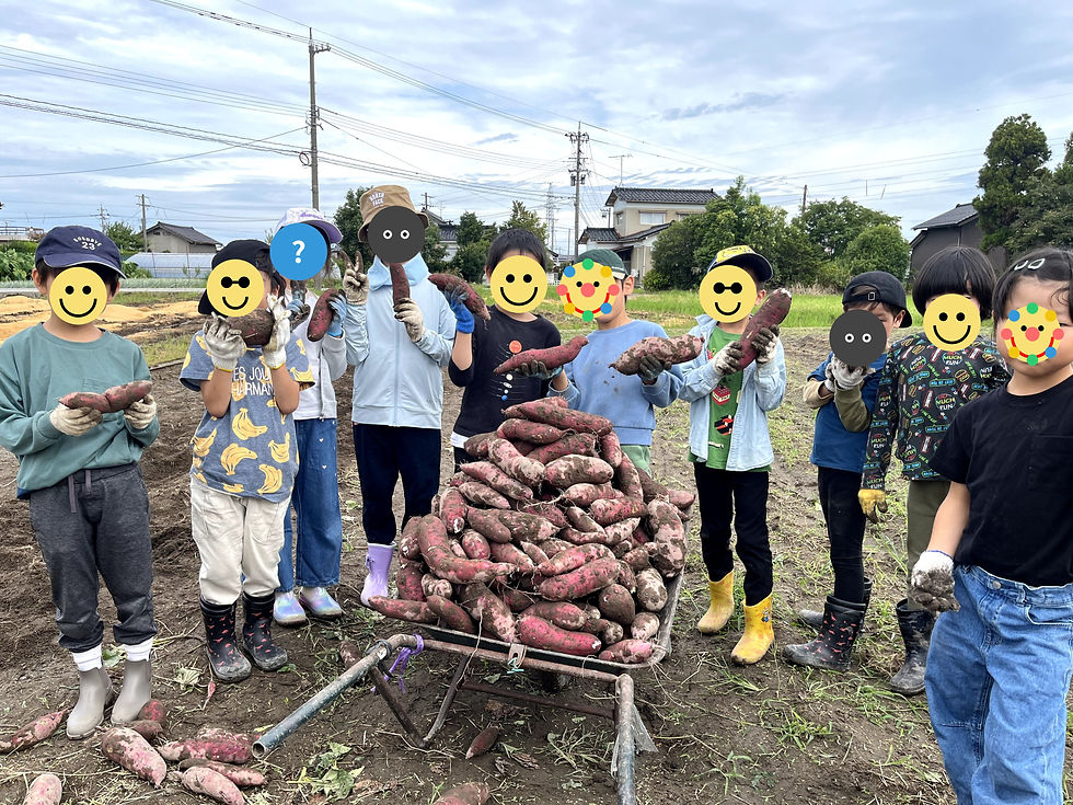 収穫したサツマイモを前に