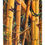 Thumbnail: Butterflies + Bamboo :: Canvas Prints :: 3 sizes