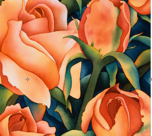 Thumbnail: Sonoma Roses :: Giclée Canvas Print