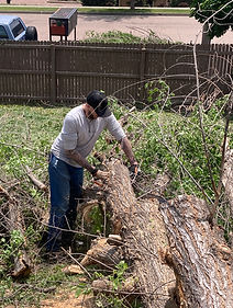 pest.control.colorado.springs.jpeg
