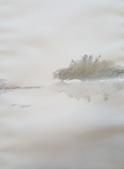 20211112_155256.jpg