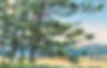 Miniature 6