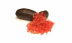 Miniatura: Pianta di limone caviale, finger lime, in fitocella. colore a scelta