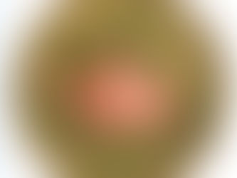 Começa Festival de Sopas em Blumenau com cardápio variado