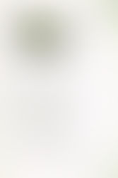 台湾『京都美好散策, Milly的私旅風景: 從住宿開始的美食、咖啡、寺院小旅行』