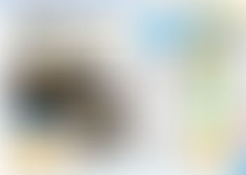 『京都　旅のお得技 ベストセレクション』