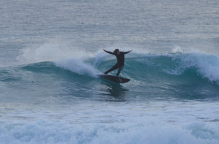 dsc_0797.jpg