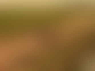 ABERT lança campanha em comemoração aos 75 anos da TV aberta