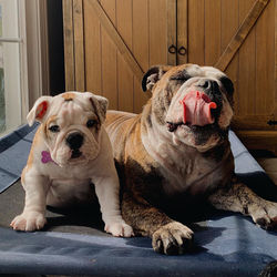 275602031_10220595270418485_88721285616161932_n