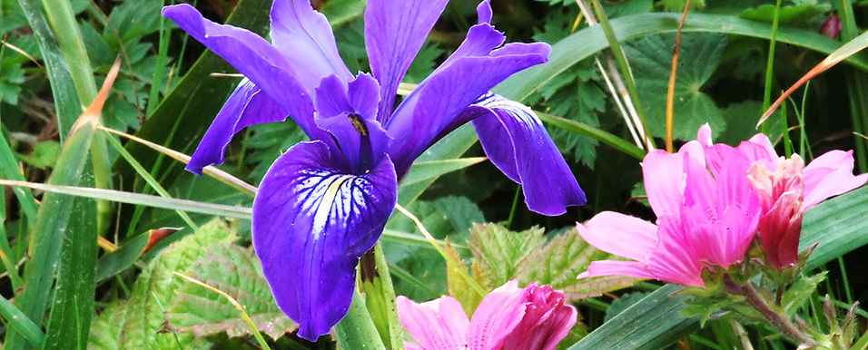 PRINT EDIT PHOTO BLACK 2 DSC_0038 Adjusted.jpg