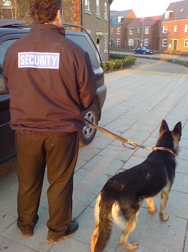 Property Protection (1)