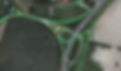 FTGM_2_edited.jpg