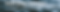 Design Website Banner (1).png